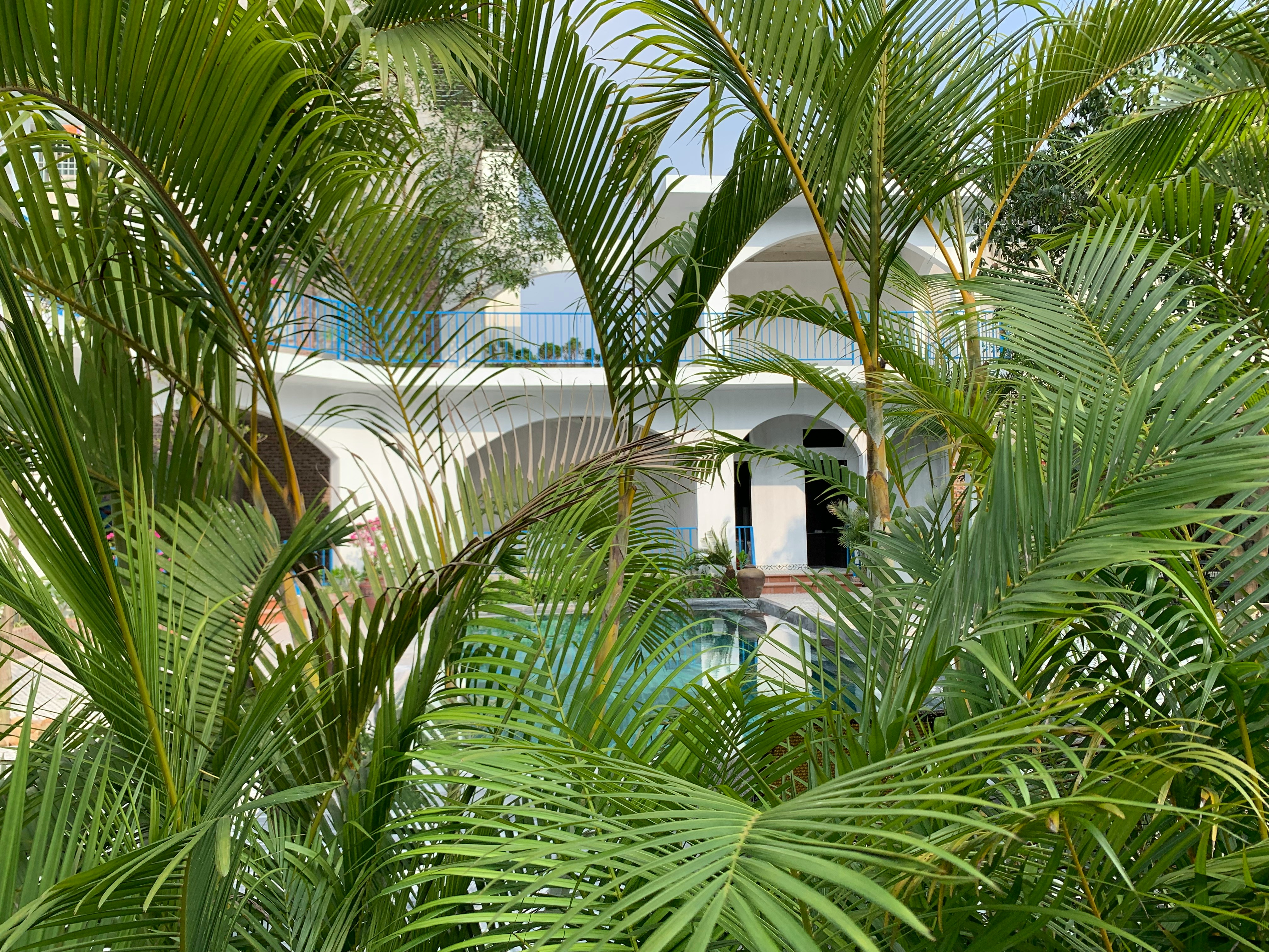 Palm Jumeirah Villas